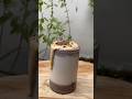 Café Style Frothy Oreo coffee ☕️ 🍫|Quick 2 min Recipe #shorts #milkshake #viralvideo #shortsfeed