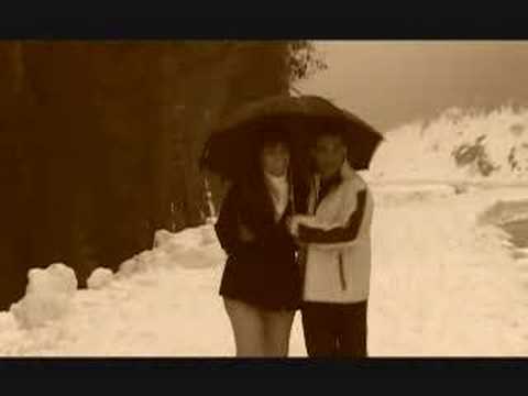 Ali Danial Zemestoon