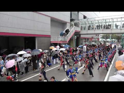皇學館大学 雅　2016四日市よさこい祭り11/27（日）　駅前通りパレード会場