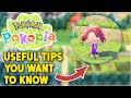 13 Tips You Want To Know in Pokemon Pokopia