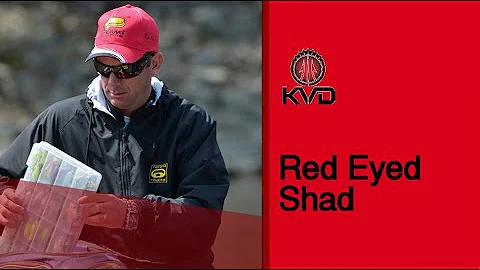 Strike King Red Eyed Shad with KVD