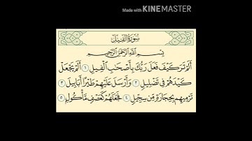 سورة الفيل ( ١٠٥ ) بصوت القارئ محمد المقيط