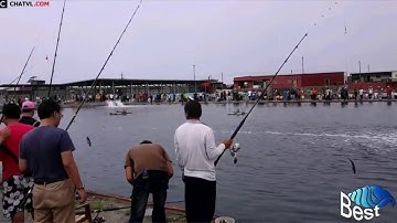 Câu cá thư giãn không ngờ bắt được quái vật khổng lồ