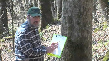 SAMPLE INVENTORY PLOT