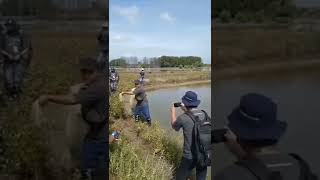 aw aw °Dipersilahkan SUBSCRIBE°Like°Bagikan°  #videolucu #videoviral #trending