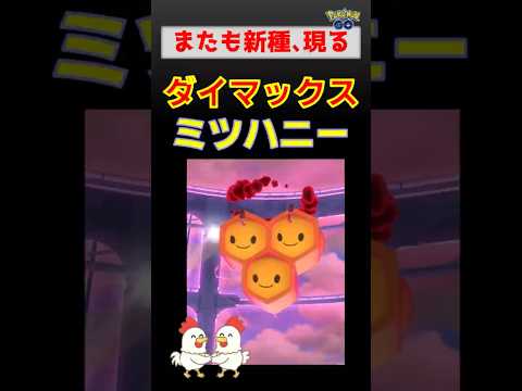 新種登場！【ダイマックス ミツハニー】 #ポケモンgo #ポケモン #pokemongo #ダイマックス #ミツハニー