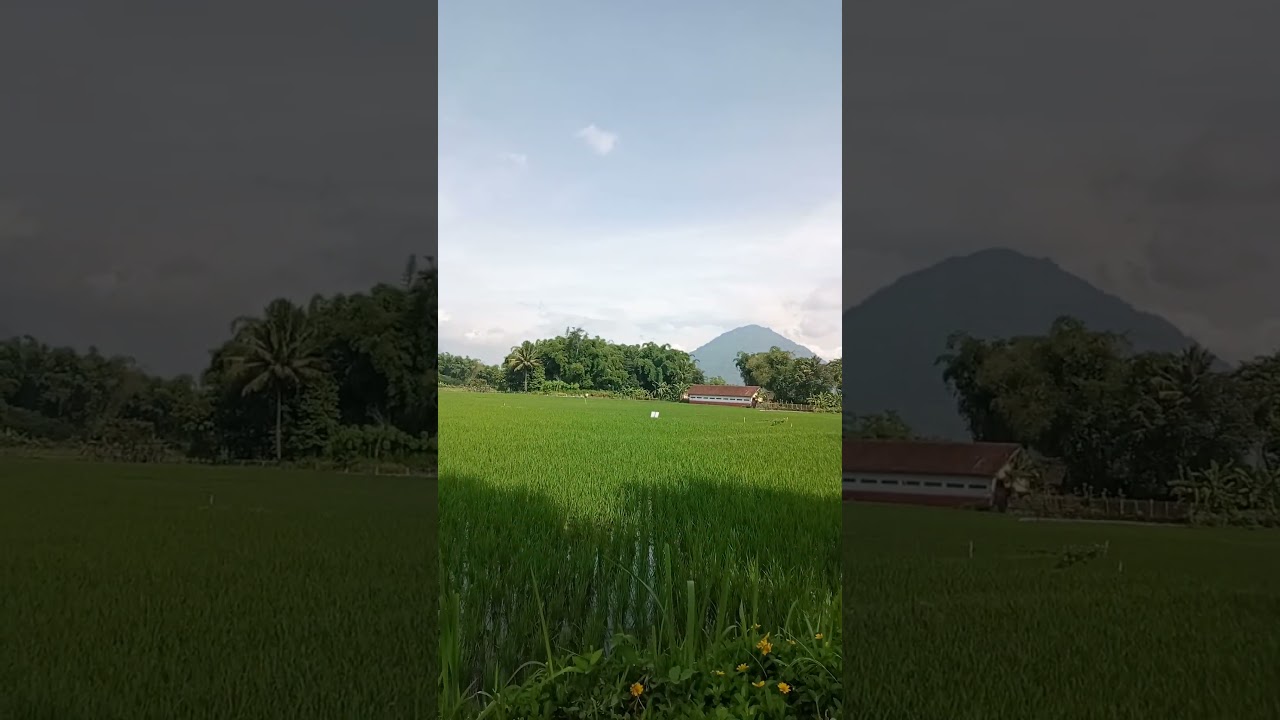 Santai sejenak di kampung halaman 