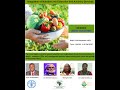 Integration of nutrition into extension and advisory services part 2 breakroon sessions 360p