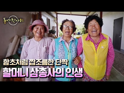[동네 한 바퀴] <strong>대부도</strong> 남쪽 ‘고랫부리 마을’. 단짝 삼총사 할머니의 함초비빔밥 “다채롭다 그 삶들 - 경기도 안산” (KBS 20220924 방송)