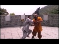 Shi Miao Dian Shaolin Qinna 释妙滇 少林擒拿 Shi Miao Dian Shaolin Qinna 释妙滇 少林擒拿