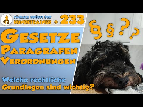 Video zum Thema