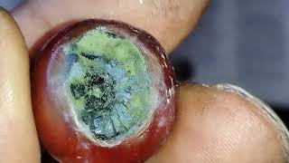 411P Swwgods Wordrevelation 1414-20 Revelation 1715-18Great City Wkingdom Over The Earth