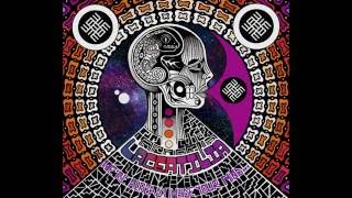 Lacertilia - The Wired And The Weird