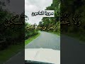 Surah Ma'un❤️ Heart touching surah recitation for peace 📖✨#quran #fypviral #trending #viral #nature