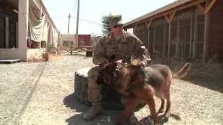 September 11, 2014 at Kandahar Airfield, Afghanistan