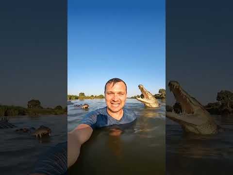 🎤 Крокодилы — Звёзды Вокала: До 5 Звуков в Арсенале! 🐊🔊 #крокодилы #snake #крокодил #дикаяприрода