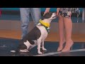 News13 Pet of the Weekend: Lovely