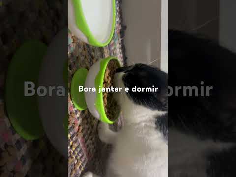 Bora jantar e dormir que está tarde