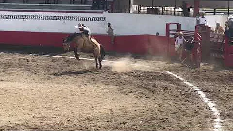 Espectacular jineteada de Claudio Rugarcia Anaya p...