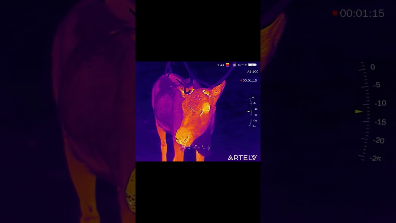 Тепловизионный прицел Артелв Электрон 1.4х25 lrf