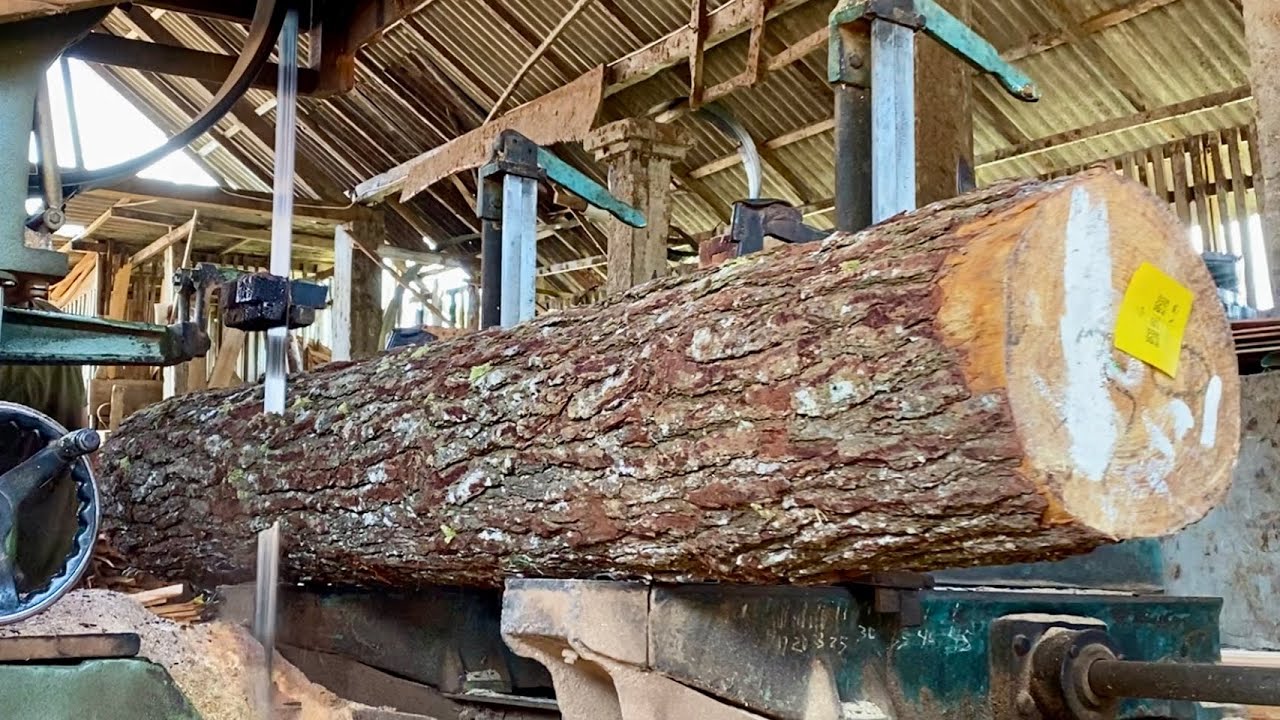 Processed Pine The new pine wood that arrives is immediately processed - the pine wood ...