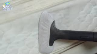 BEST STEAM CLEANER - HOW TO KILL BED BUGS and more - Vapamore® MR-100