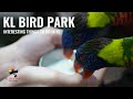 Kids will enjoy! | Kuala Lumpur Bird Park : School Holidays fun trip| Bird Shows and Feeding