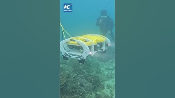 AI-powered robot patrols China