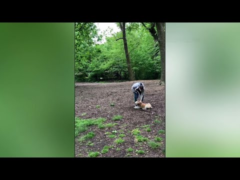 Woman fired after park confrontation backlash