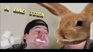 the chubby bunny scream challenge (unedited version)