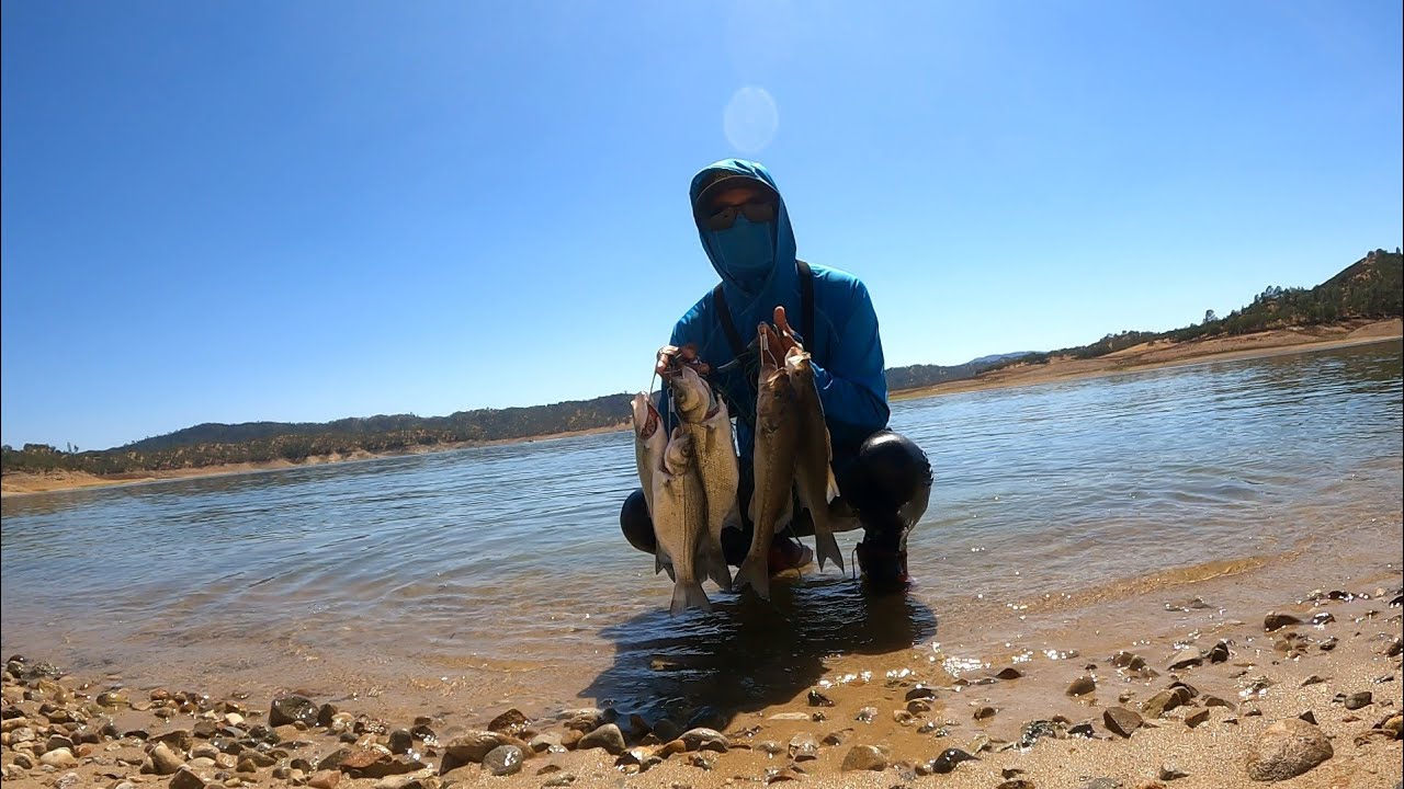 Pesca De White Bass De Orilla En Nacimiento Lake YouTube