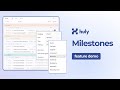 Organize your Huly workflows with Milestones