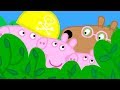 Peppa Pig en Español Episodios completos | LOS AMIGOS MAYORES DE CHLOE | Pepa la cerdita