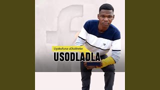 uyakufuna udlubheke (Radio Edit)