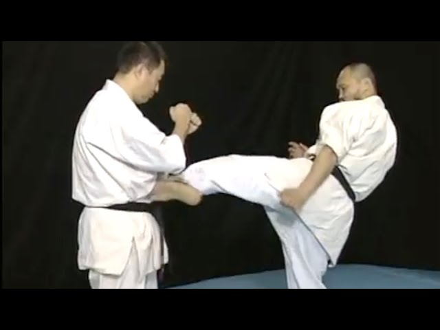Shinkyokushinkai] Yamamoto Kensaku's 