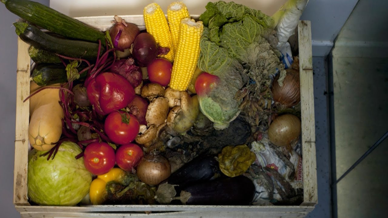 How Nature Recycles Individual Atoms | Earth Science