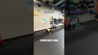 Lateral Beast Crawl