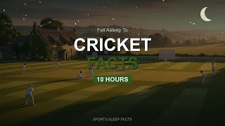 Fall Asleep to Cricket Facts | 10 Hours screenshot 2