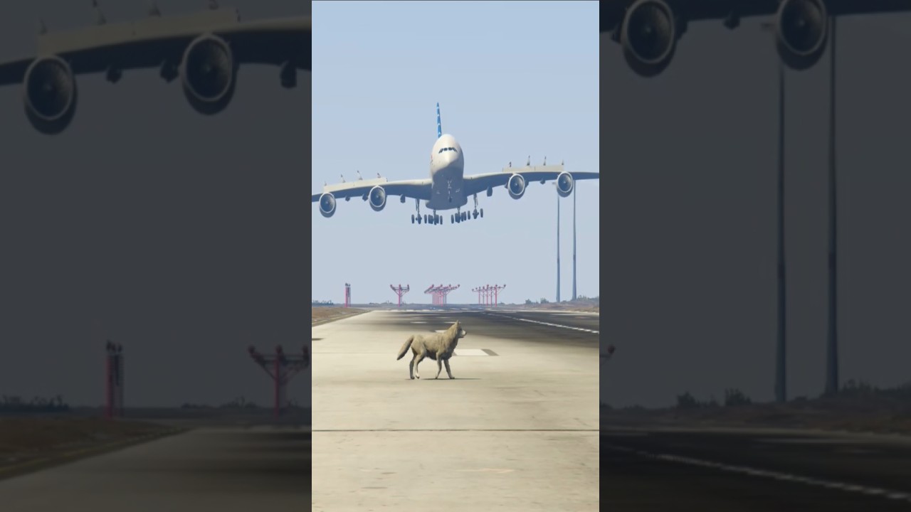 Two Deer Accidentally Comes Runway During Airbus Landing Gtav