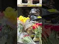 Maine community raises thousands to help victims of Searsmont lumber mill explosion