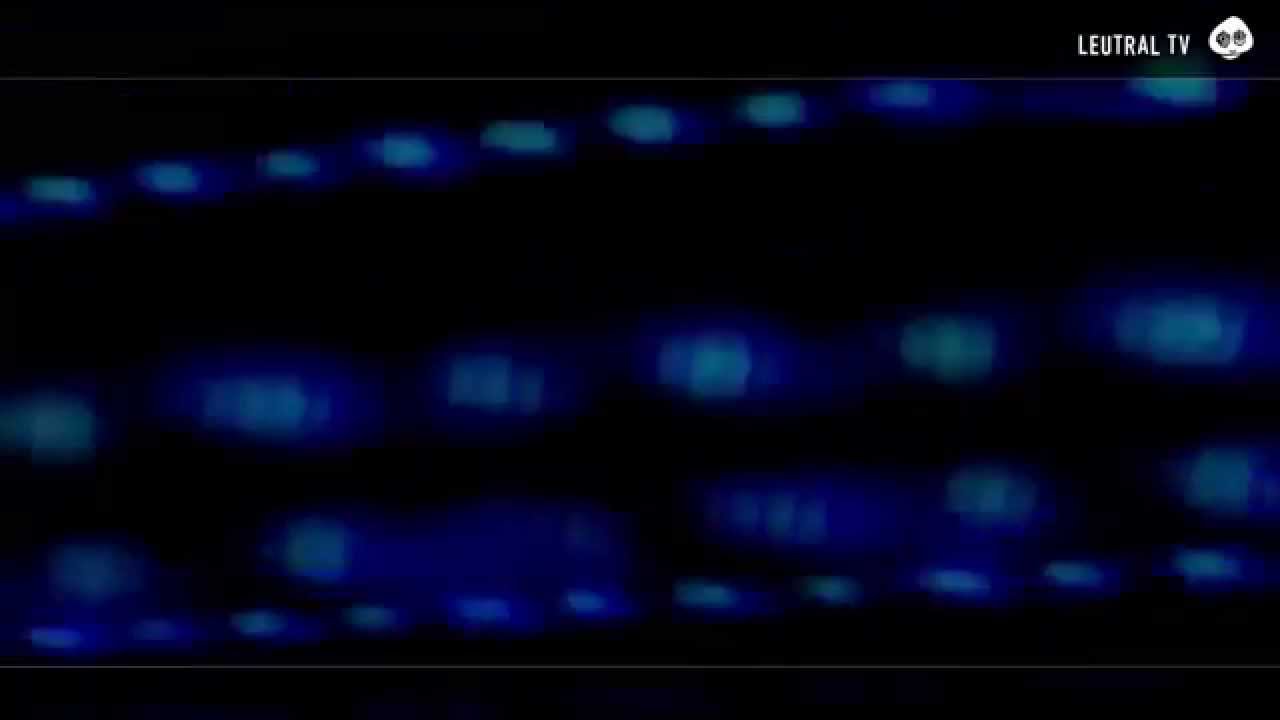 Watch Rocco Caine - Fatand50 Original Mix on YouTube Watch Rocco Caine - Fatand50 Original Mix on YouTube