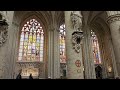 Organ Music at the Brussels Cathedral