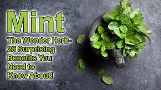 Mint The Wonder Herb 25 Surprising Benefits You Need To Know About