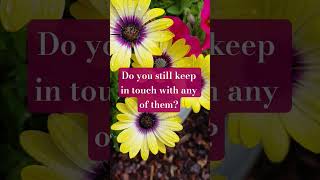 Revive Your Youthful Joy: 1,300+ #booktube #likebook #retro #reflection #inspiration