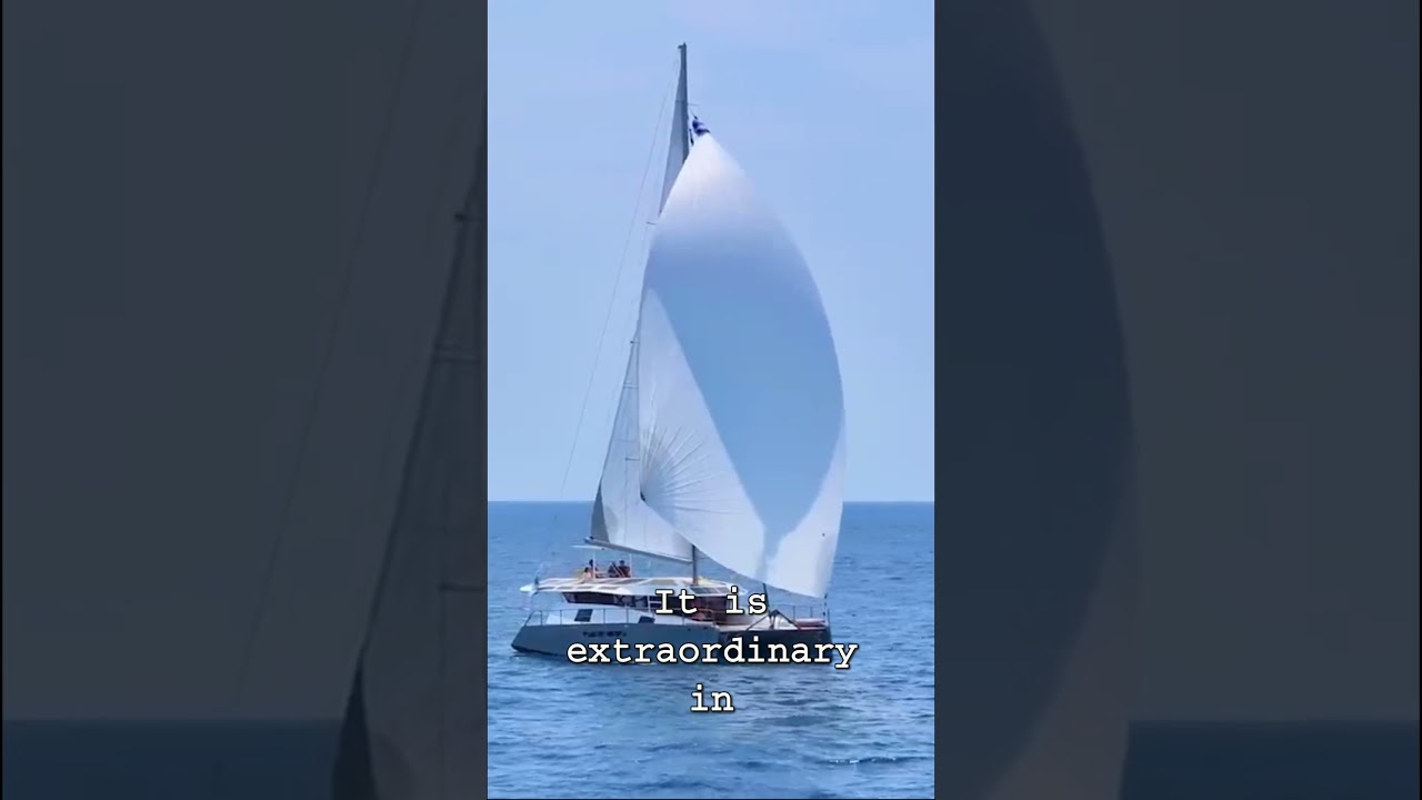 ⁣'This is potentially the most extraordinary yacht you've ever seen' #sailingboat #sailinglife #yacht