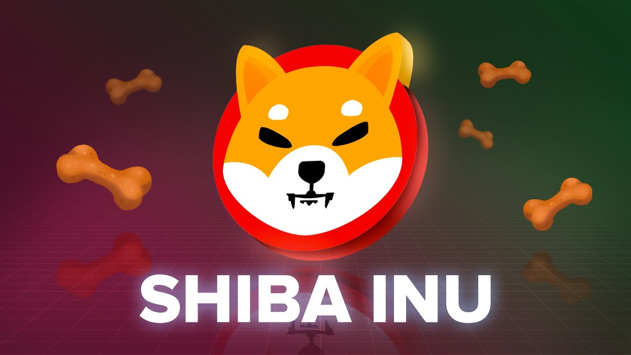 ¿Qué es el token SHIBA INU? | Explicado con Animaciones