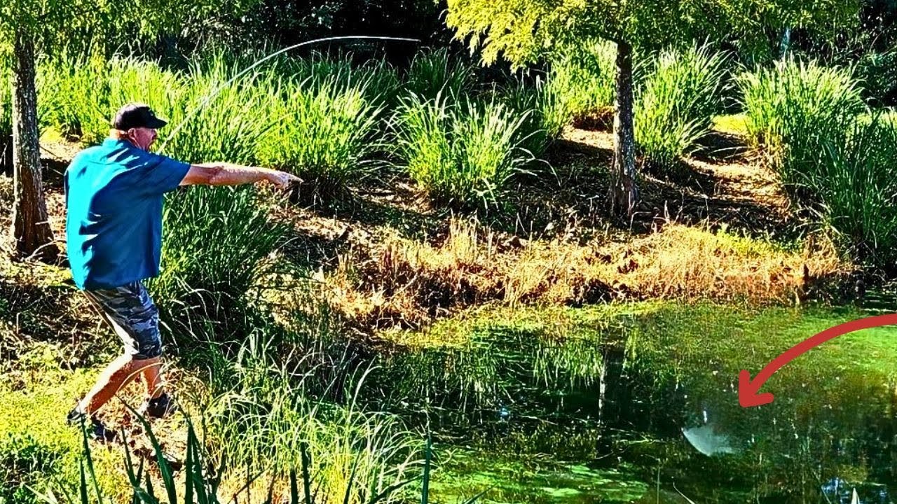 Fishing for giant bass in a random pond when suddenly it happened!
