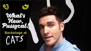 Episode 4  What's New, Pussycat? Backstage at CATS with Tyler Hanes