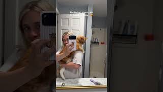 My favorite phone case!! ✨🩷 #phonecase #orangecat #babycat #mypet #catlover