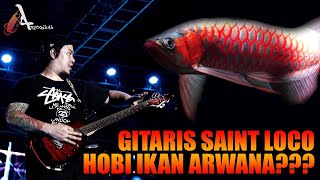 Arockwana Vlog #2 | Gitaris Saint Loco mulai menggemari ikan Arwana, mau lihat koleksinya? Arwana SR